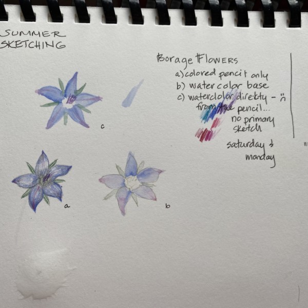 unfinished Borage 3 ways