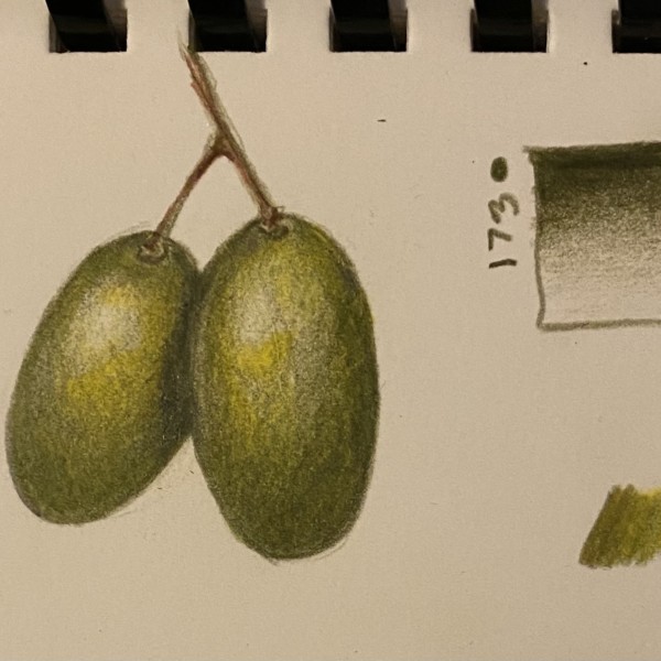 overlapping grapes, light with key color added