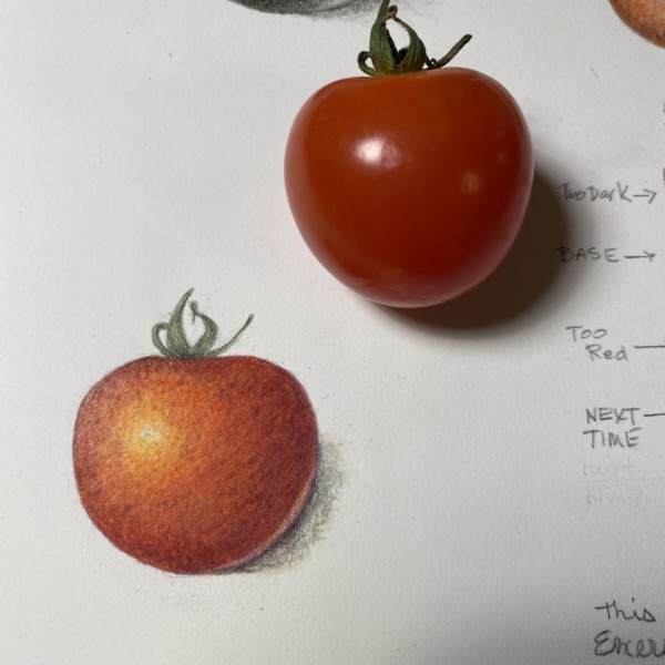 2nd Tomato 