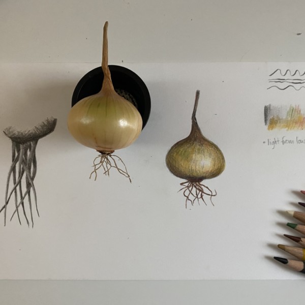 Lesson 20 Roots: full page