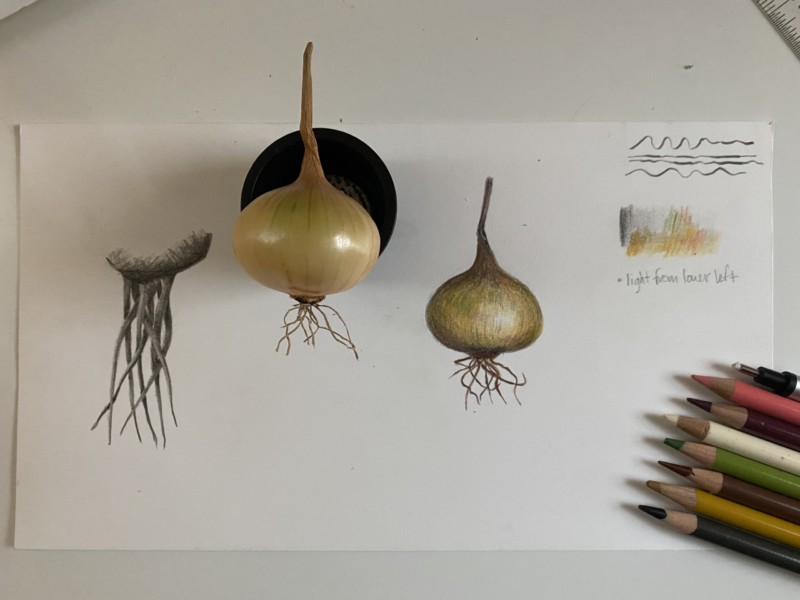 lesson-20-roots-full-page