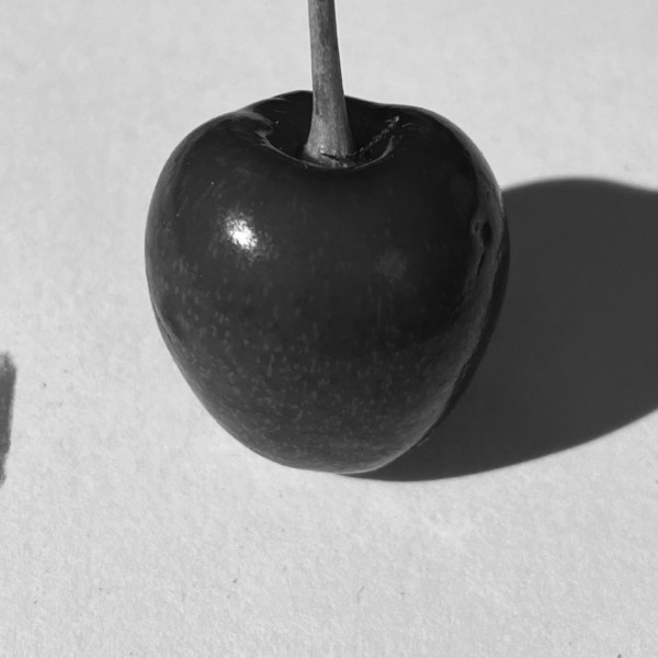 Actual bing cherry, b&w to see shape and highlight without color