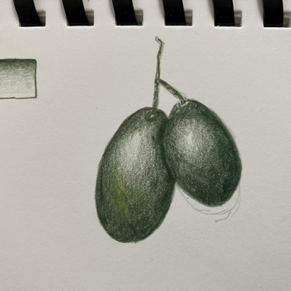 overlapping grapes, toning dark