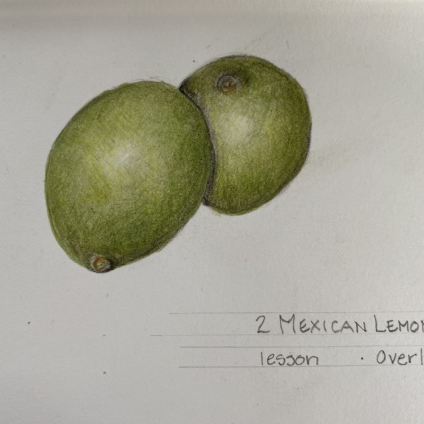 Lesson 19 Small Fruits, Dos Limón en San Felipe, Mexico