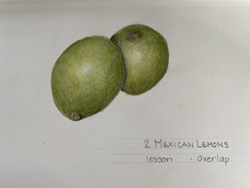 lesson-19-small-fruits-dos-limon-en-san-felipe-mexico