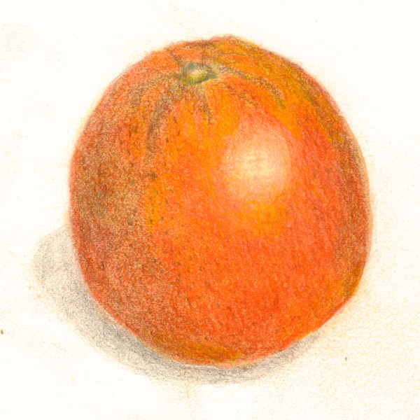 Orange-fruit