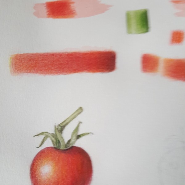 tomato_in_color