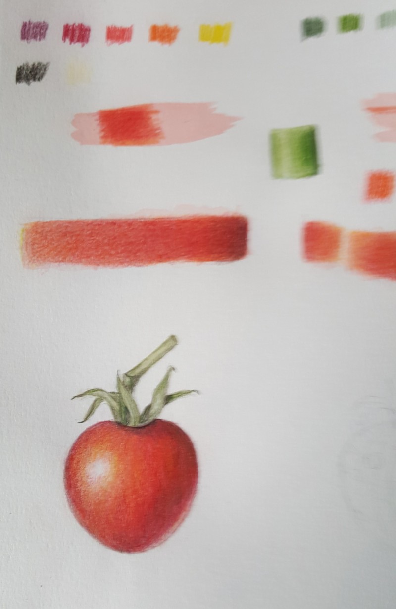 tomato_in_color