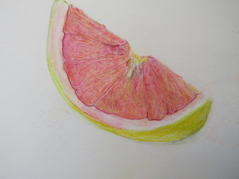 grapefruit-section