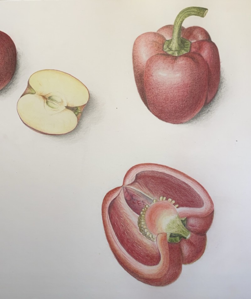 bell-pepper