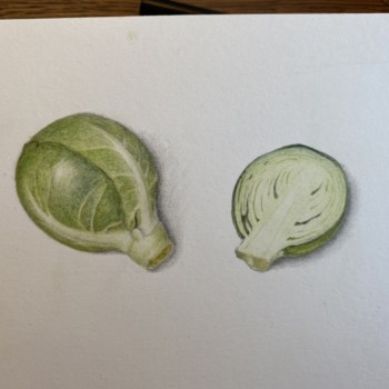 brussels-sprout