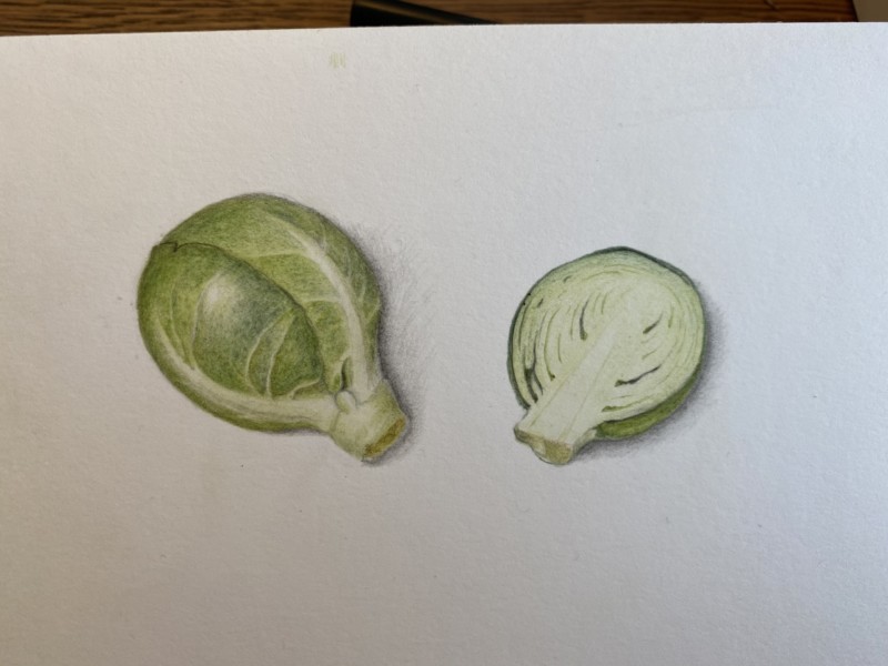 brussels-sprout