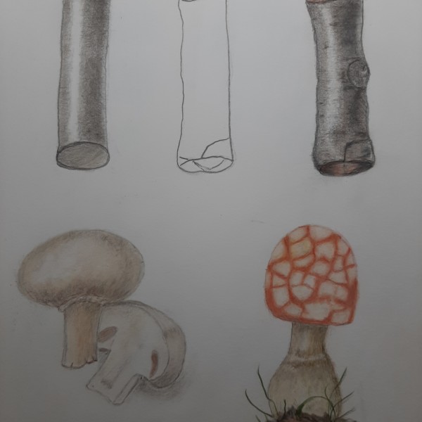 20210217_154046