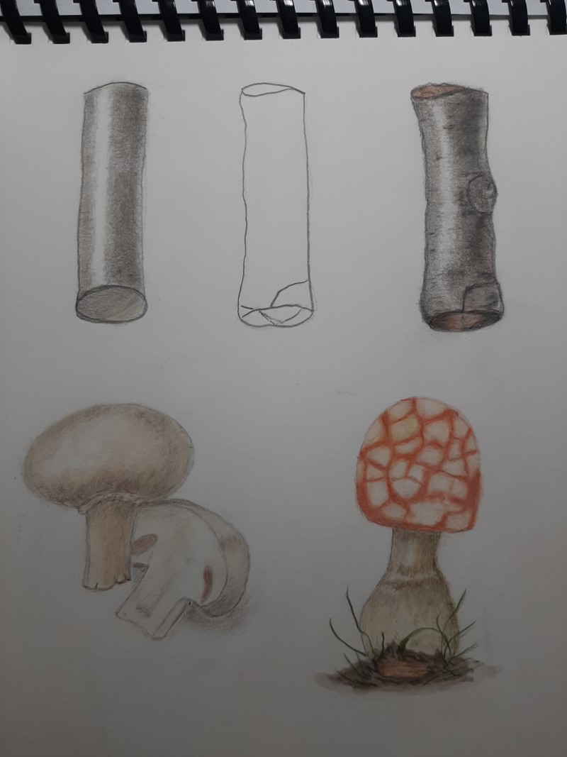 20210217_154046