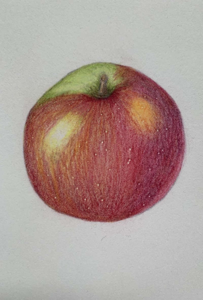 apple-study-3