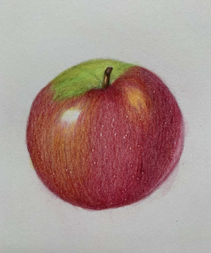 apple-study-4