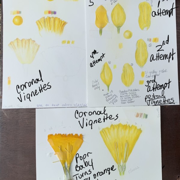 Zoom Workshop 68: Spring Flowers