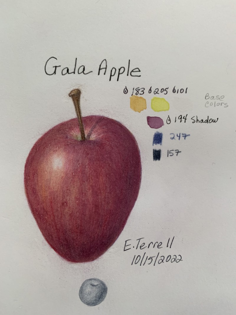 gala-apple