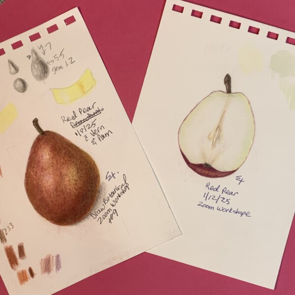 Zoom workshop 109 Pears