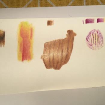 practicing-patterns-feather-apple-onion-petal