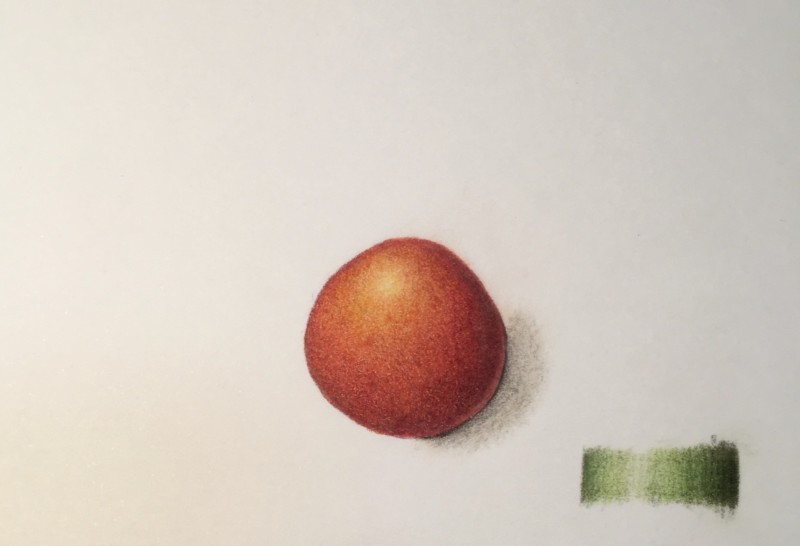 drawing-a-cherry-tomato-in-color