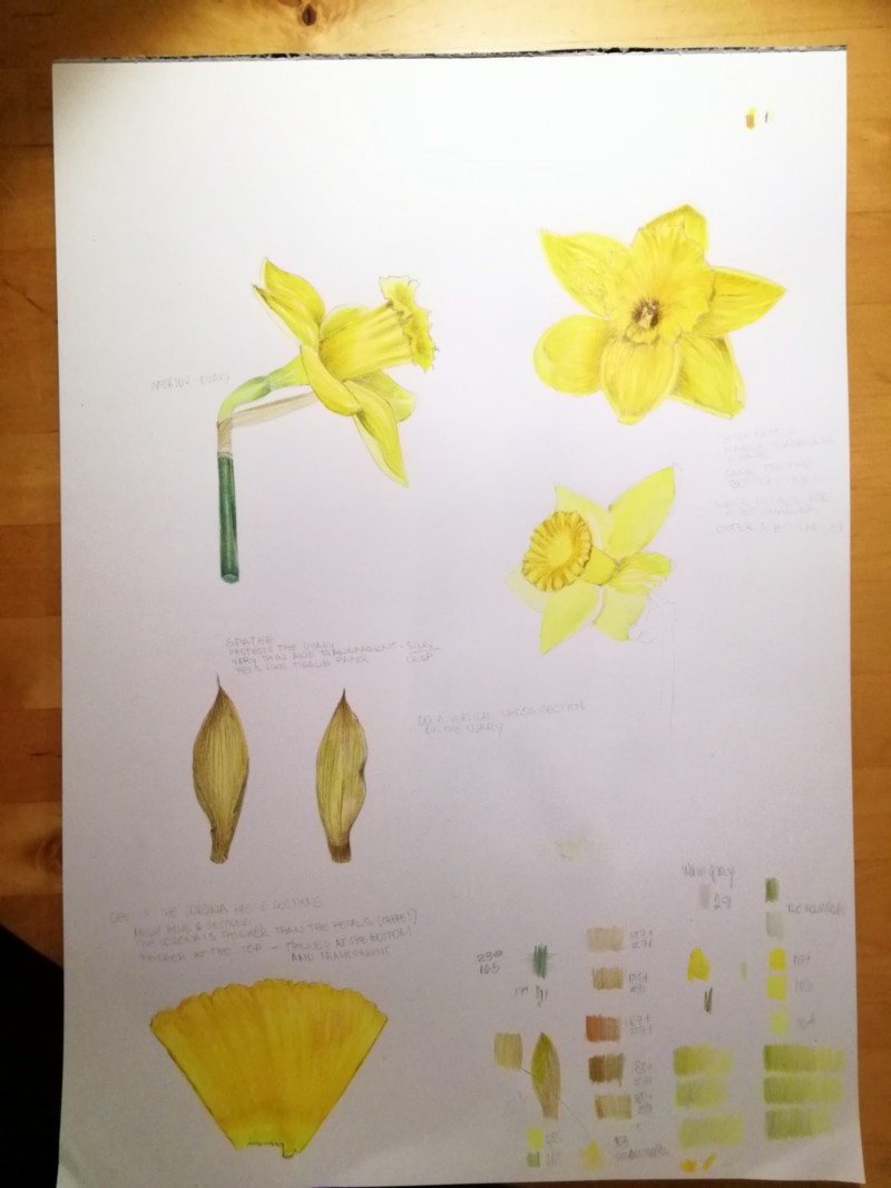 understanding-flowers-1