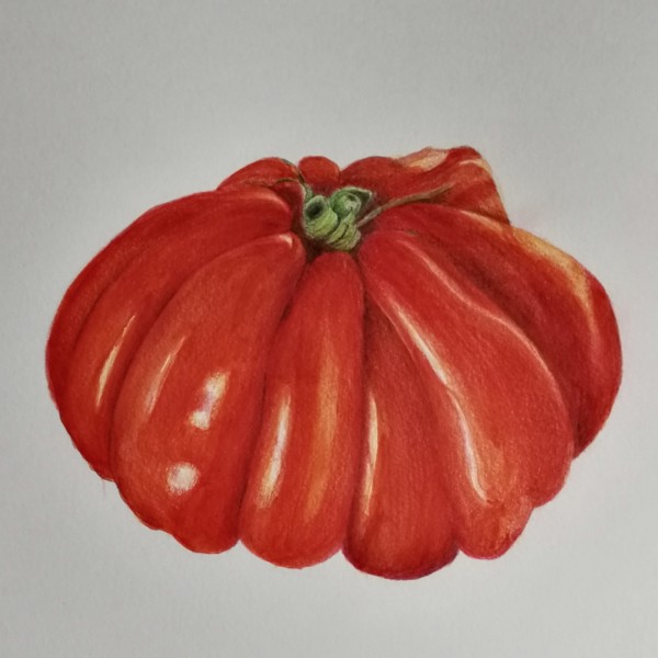 Heirloom tomato