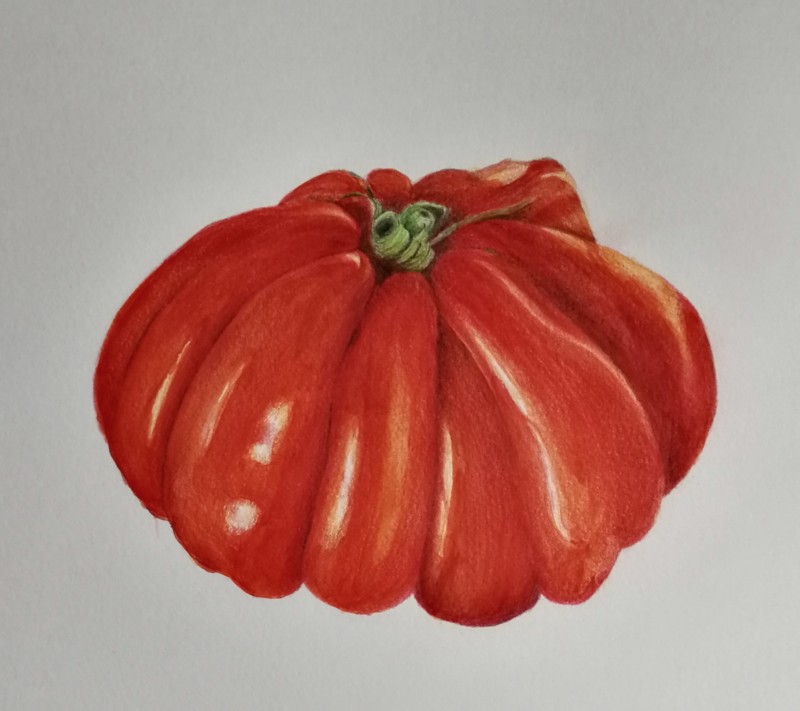 heirloom-tomato