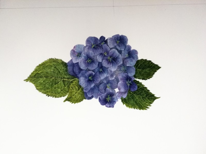 hydrangea-5