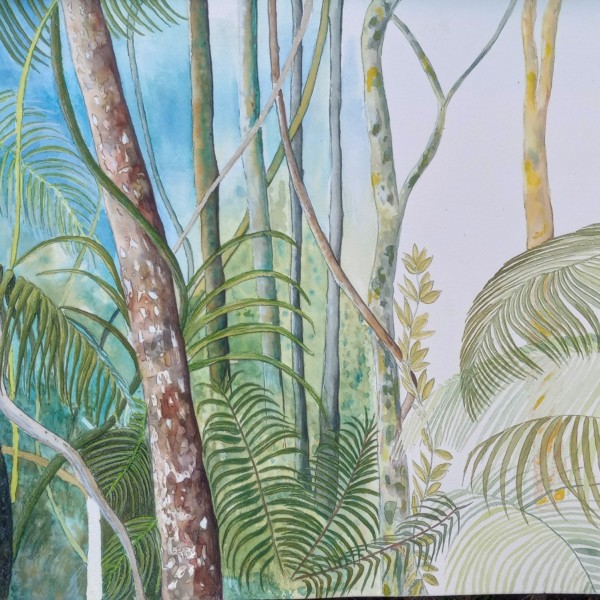 Forest 1