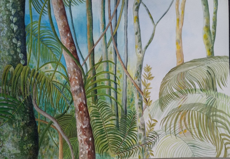 forest-1a
