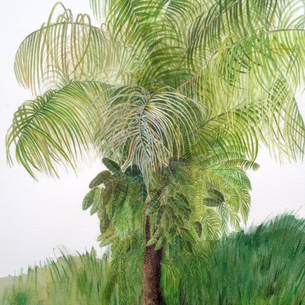Palm tree 3 