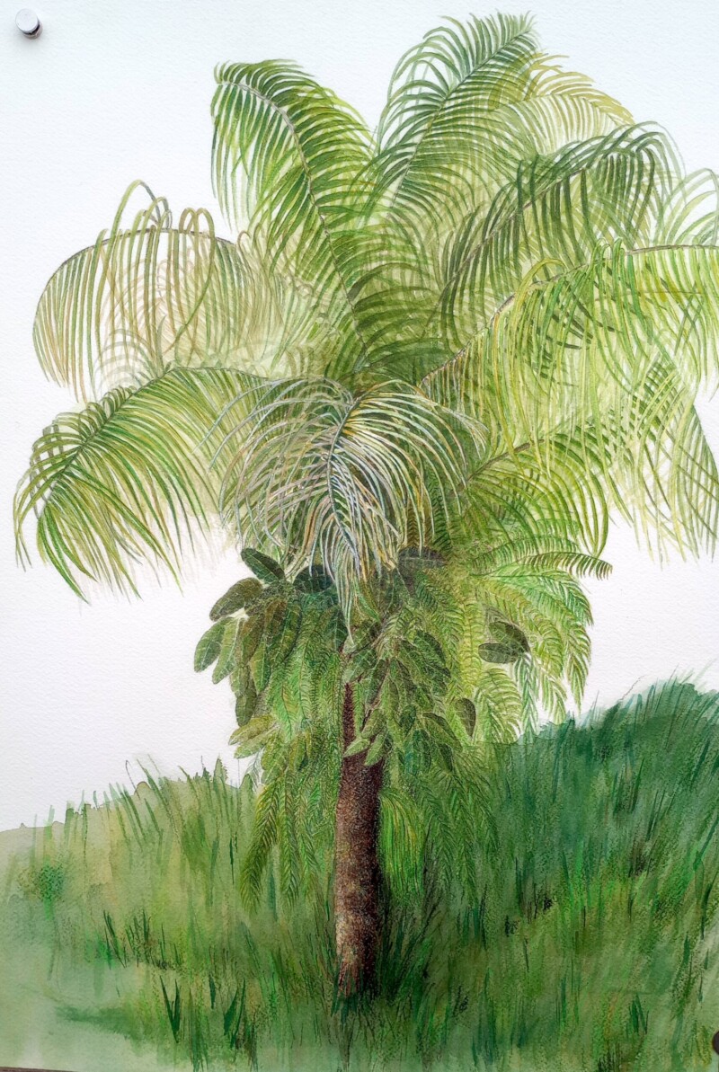 palm-tree-3