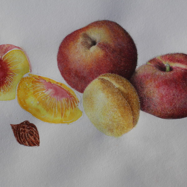 Peaches still WIP!