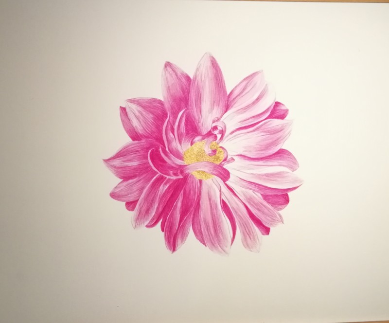 dhalia