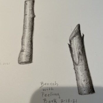 11c2b798-e83a-4267-a4e0-0265c5bb92e2