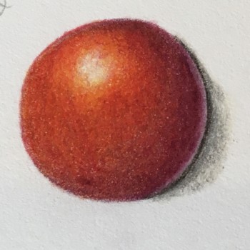 94cd6343-ce4e-4316-8c4a-9b2cef7fed55