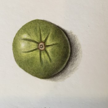 e1076833-31e0-4be8-8763-415e064e4bb1