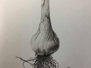 4779B229-A811-436E-9F0A-89F239DB0CFA