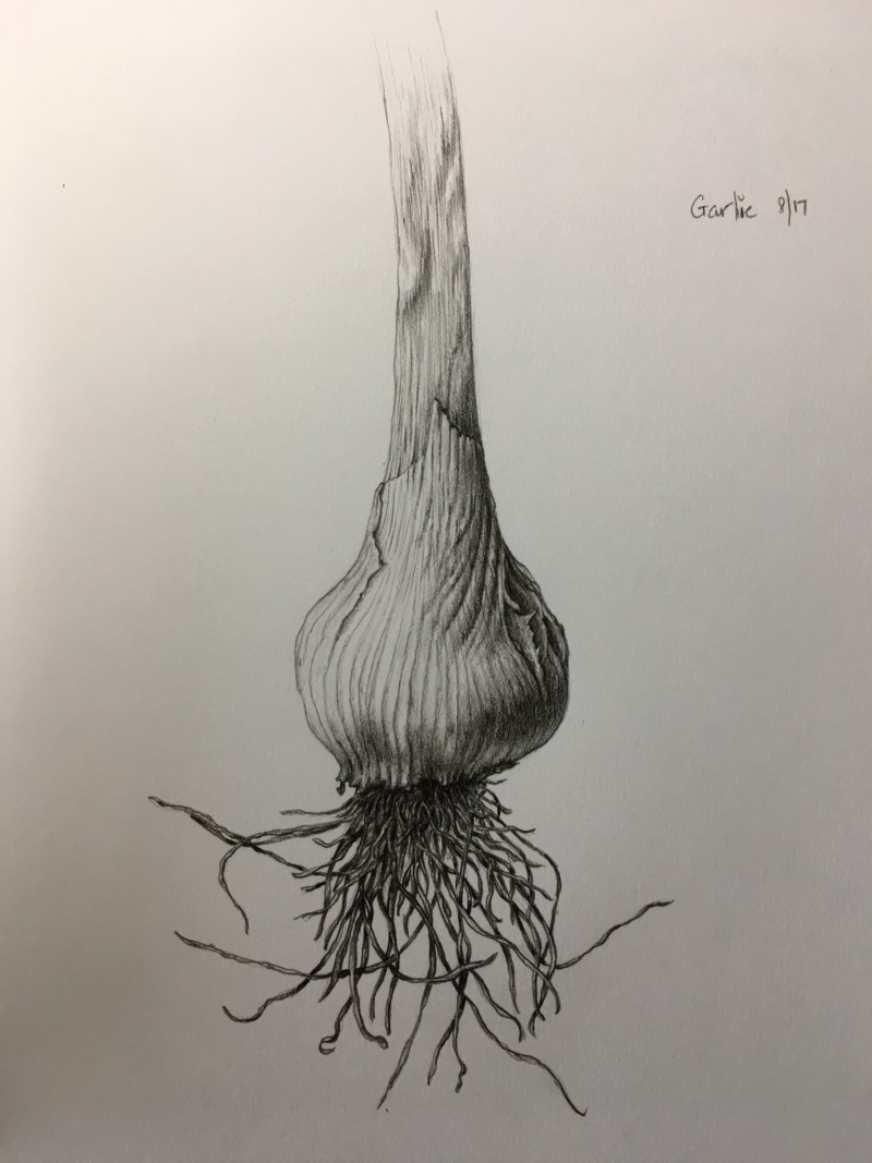 4779b229-a811-436e-9f0a-89f239db0cfa