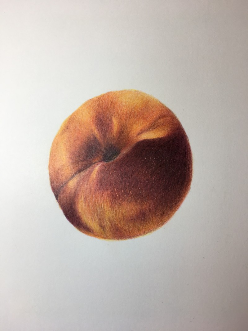 802066fa-b891-40ab-80f1-ed8f3592f589