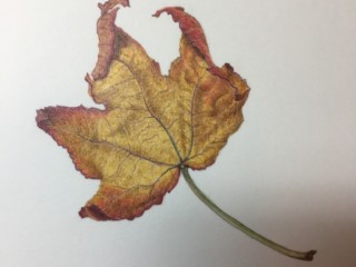 B383CE09-DA8F-4A42-9C5D-5C4EB9A00C73