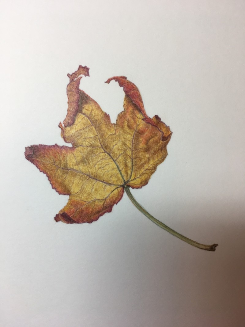 b383ce09-da8f-4a42-9c5d-5c4eb9a00c73