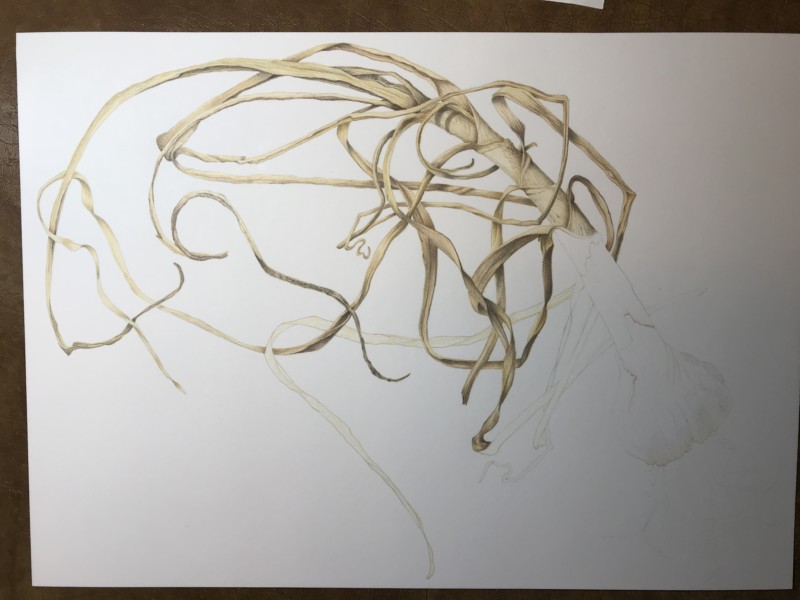 d7fcb9ea-c281-45e1-b122-21e7b41d3d0b