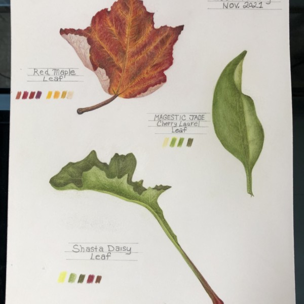 Leaf Veining Workshop Nov. 2021