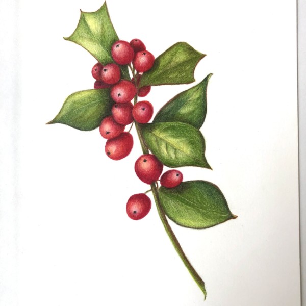 Winter Berry Holiday Card
