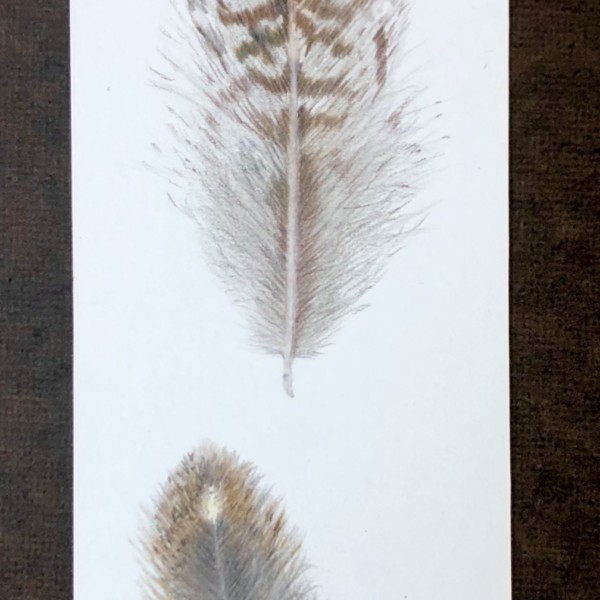 Grouse Feathers - bookmark 