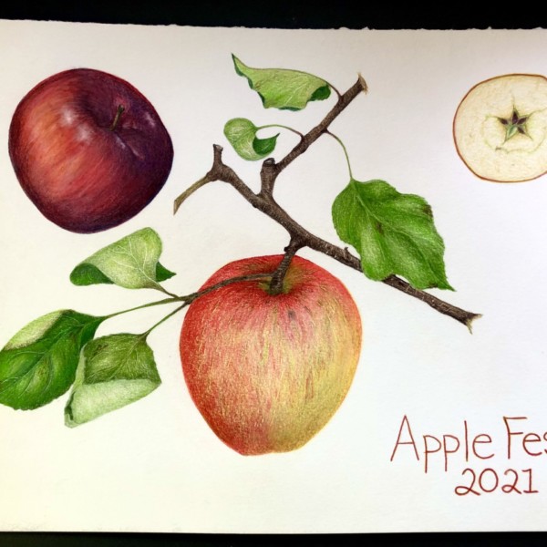 Bayfield Apple Festival Drawing 