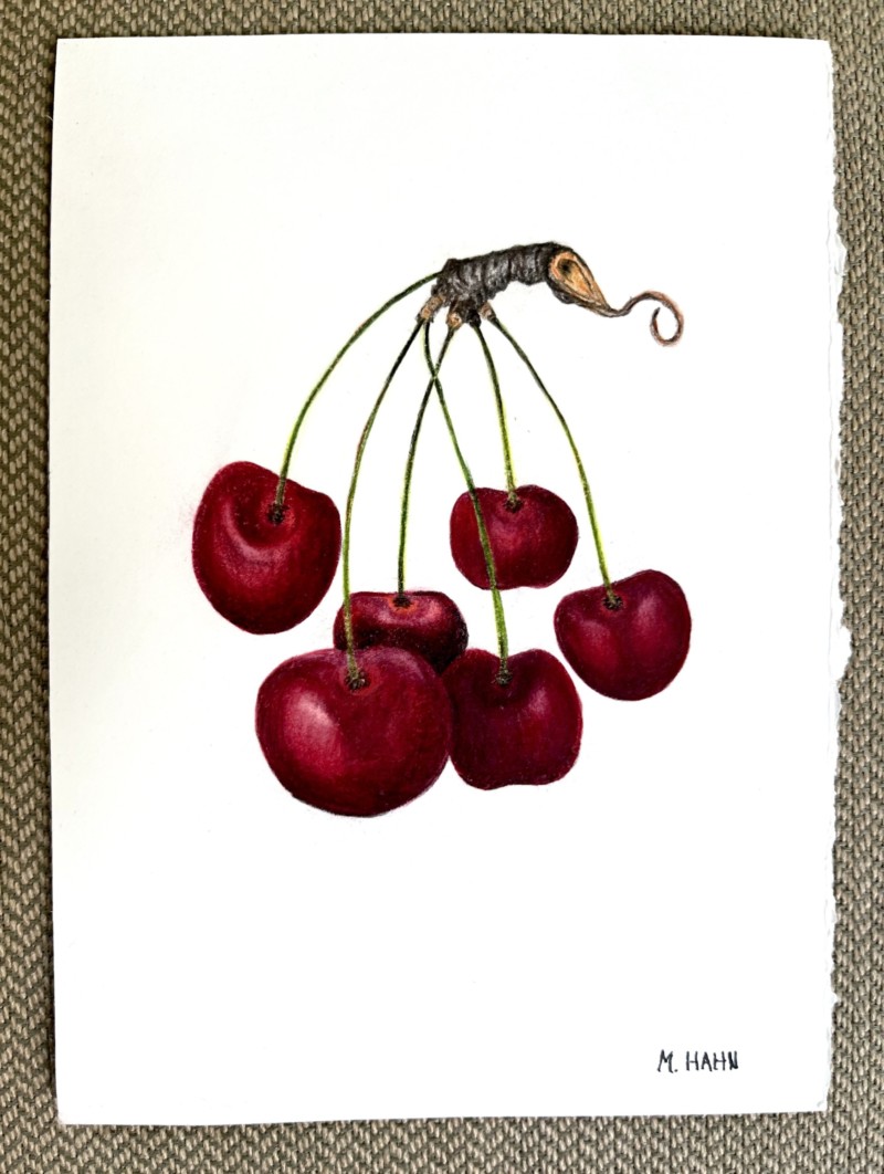 cherries-experiment-with-watercolor-wash