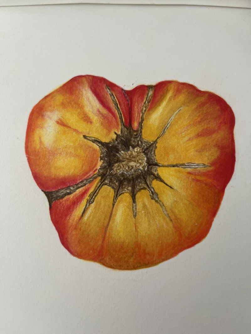 heirloom-tomato-2